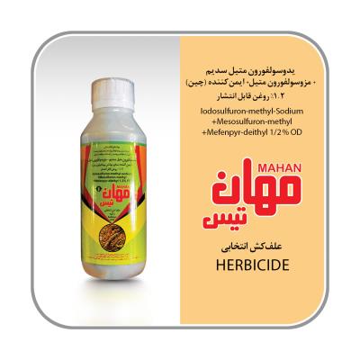 آتلانتیس (مهانتیس چینی)