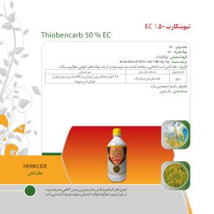 کاتالوگ
