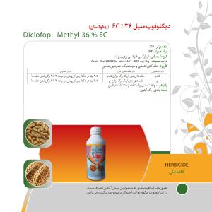 کاتالوگ