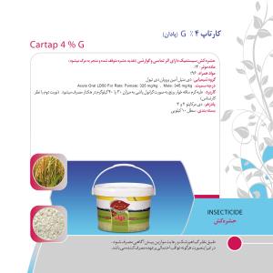 کاتالوگ